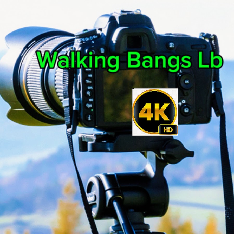 Walking Bangs Lb  @walkingbangslb