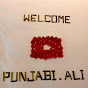 Hotel Review with Punjabi Ali