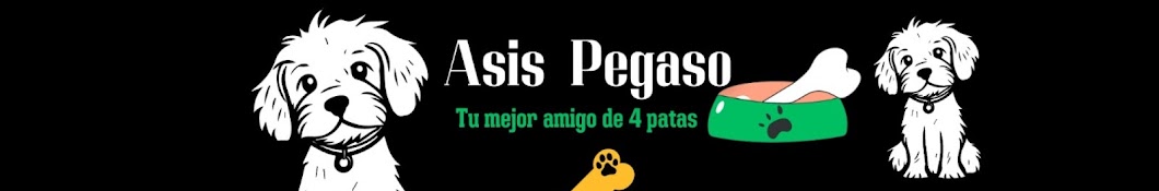 ASIS PEGASO