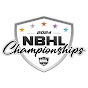 National Ball Hockey League