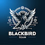 BlackBirdTeam