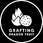 Grafting Dragon Fruit