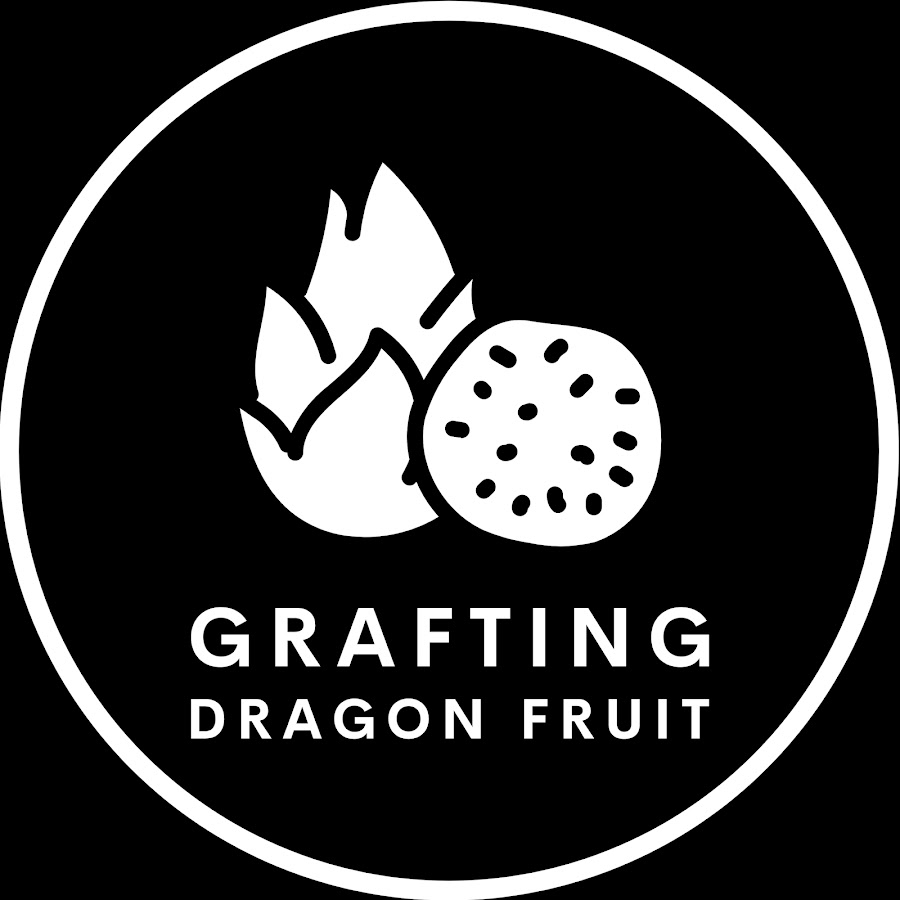 Grafting Dragon Fruit