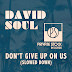 David Soul - Topic