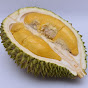 DURIAN