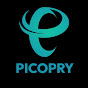 PicoPry