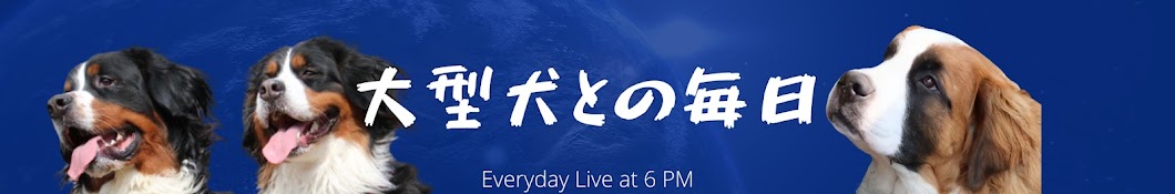 大型犬との毎日　その為のリノベーション