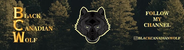 Black Canadian Wolf
