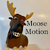 Moose Motion Animation