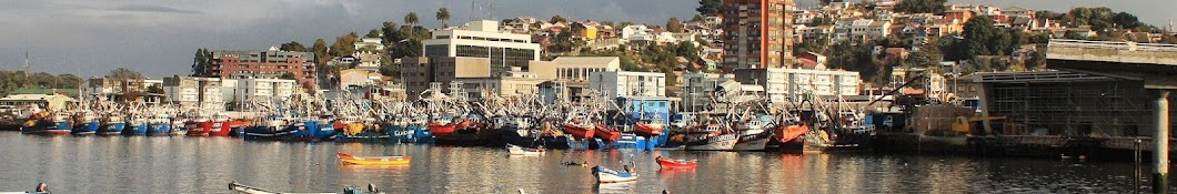 TalcahuanoInfo