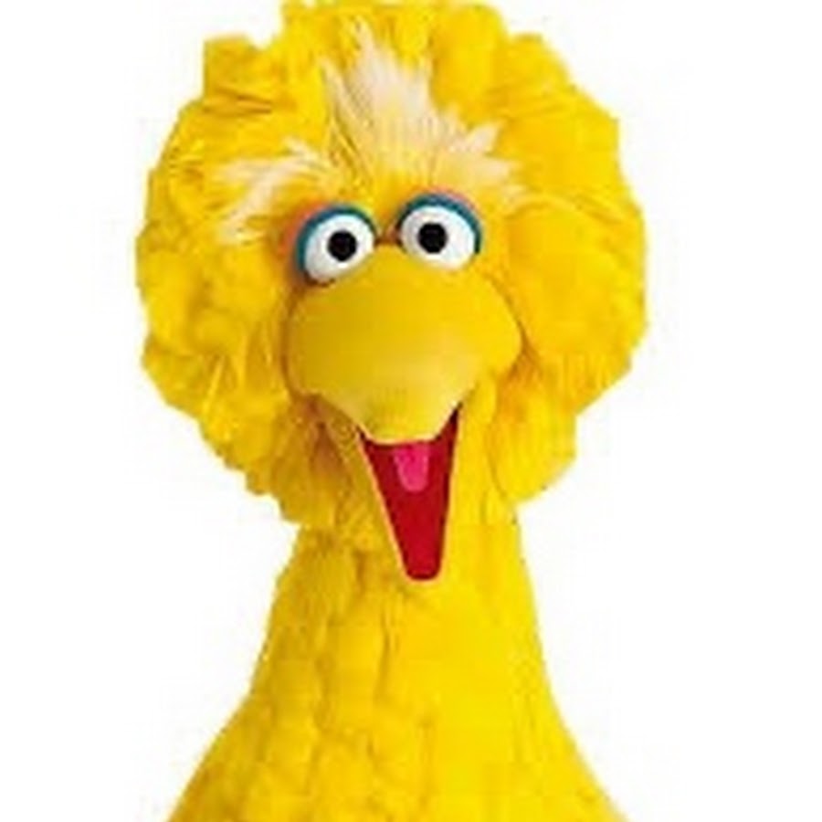 Big bird - YouTube