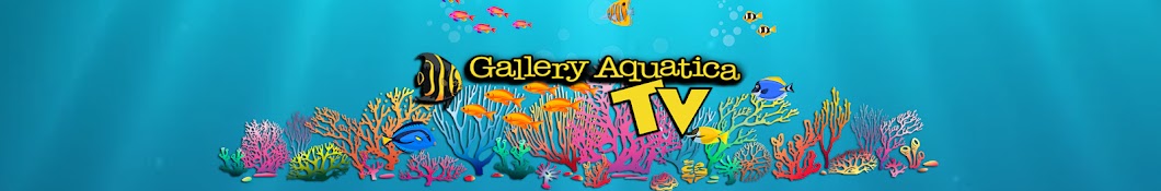 Gallery Aquatica TV Banner