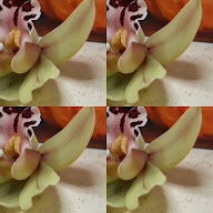 thumbnail img1x1