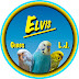 Elvis My Sweet Budgie and LJ and Gibbs