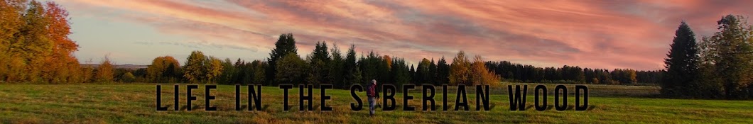 Life in the Siberian forest Banner