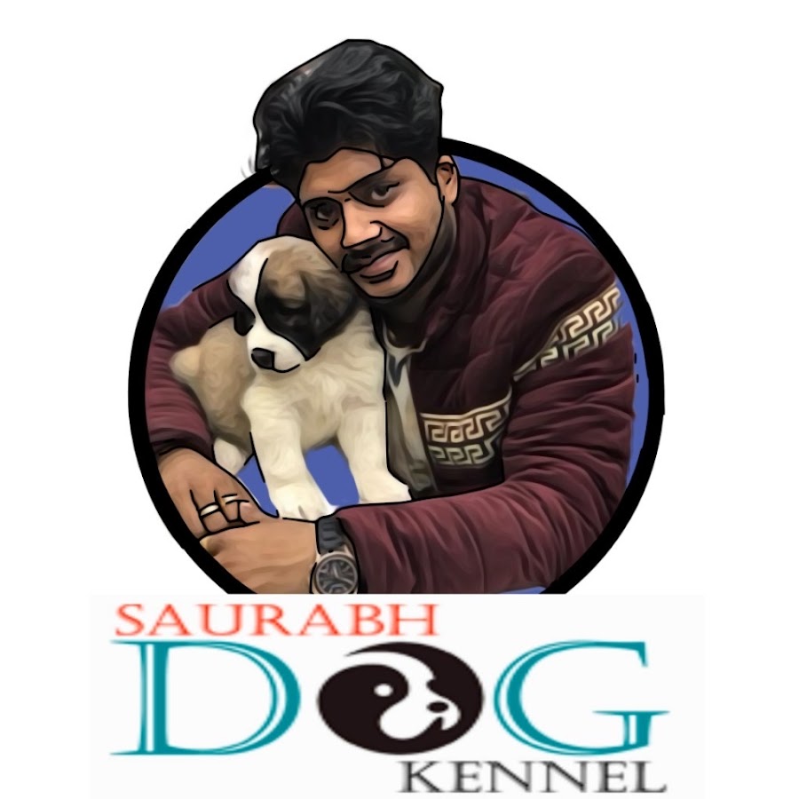 Saurabh Dog kennel - YouTube