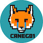 Caneg01