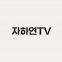 자하연TV