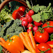 The Allotment Garden and Kitchen