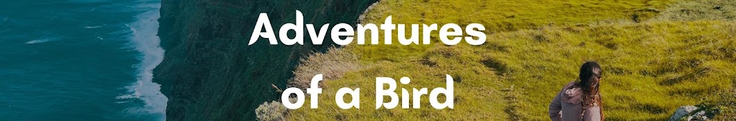 Adventures of a Bird