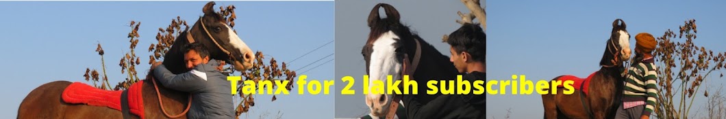 Shonki Sardar Banner