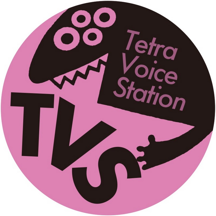 Tetra Voice Station - YouTube Tetra Voice Station
