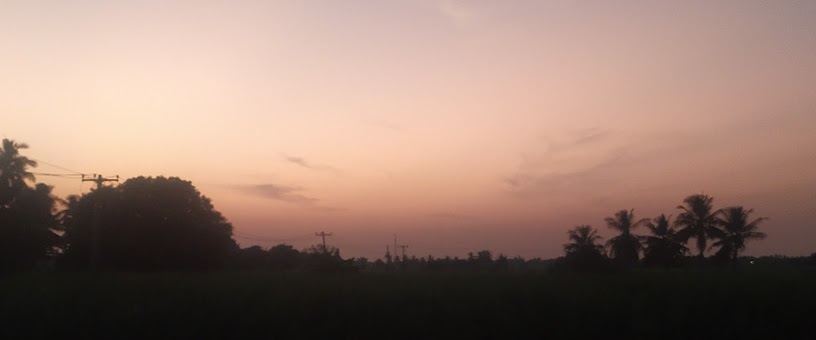 Artist Thumbnail