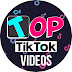 logo Top TikTok Videos TV