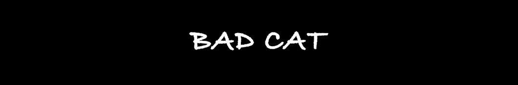 BAD CAT (@EuUsoBadCat) / X