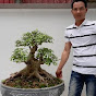 Thịnh Bonsai