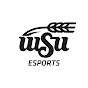 Wichita State Esports