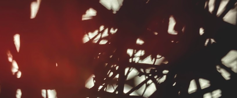 Artist Thumbnail