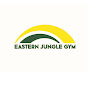 Eastern Jungle Gym Swing Sets