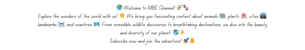 MBE Channel