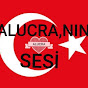 VOICE OF ALİ KOYUNCU ALUCRAN