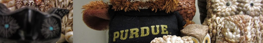 OWLPurdue