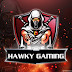 Hawky Gaming