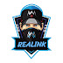 logo ReaLink SPECIAL