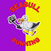 Seagull Running