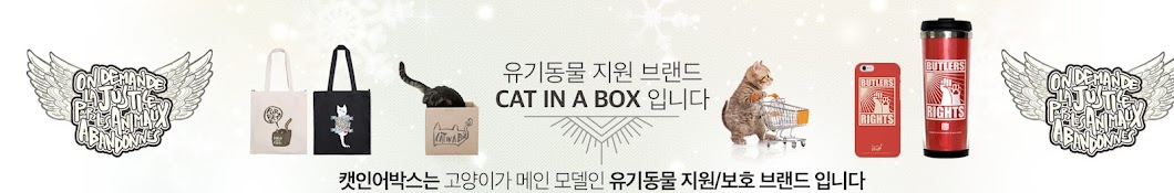 캣인어박스 (catinabox)