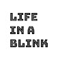 Life in a Blink