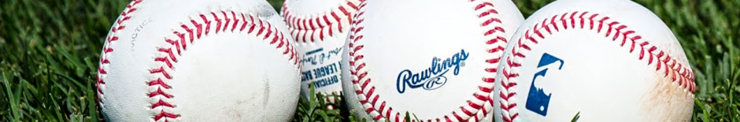 World of Baseball Banner