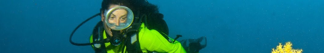 BUCEO PANDORA