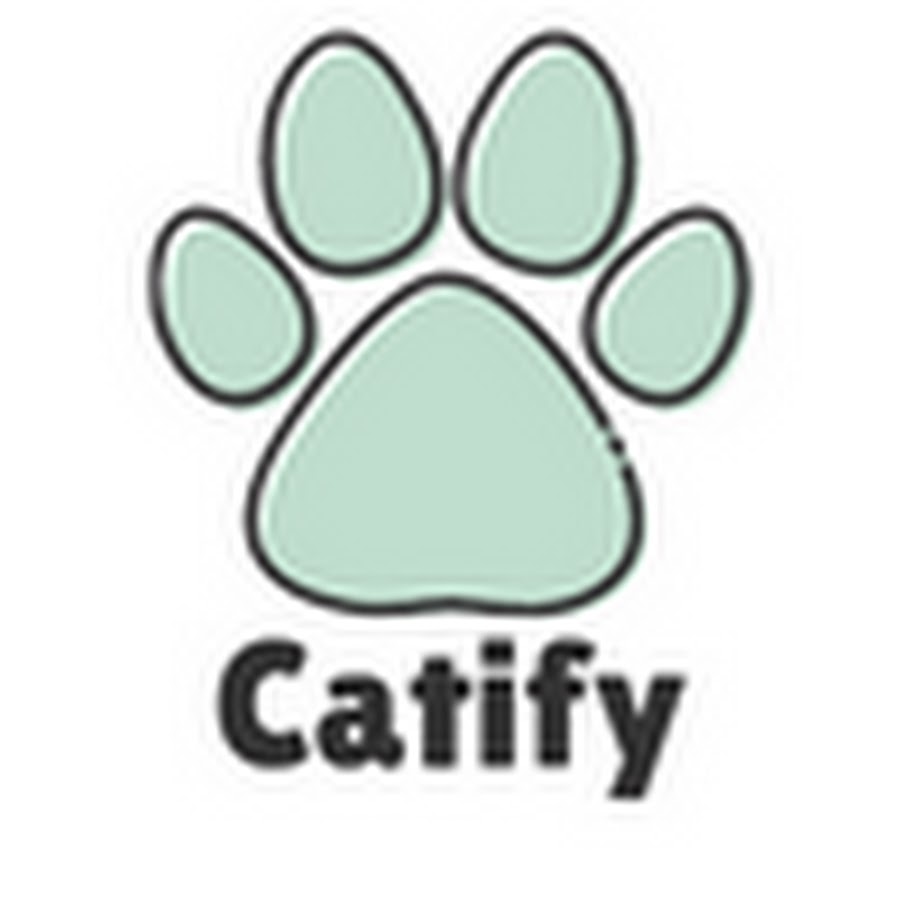 Catify - Games for Cats