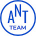 logo SEO от Ant-Team