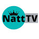 Natt TV