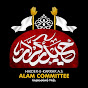 Haider e karrar Alam Committee