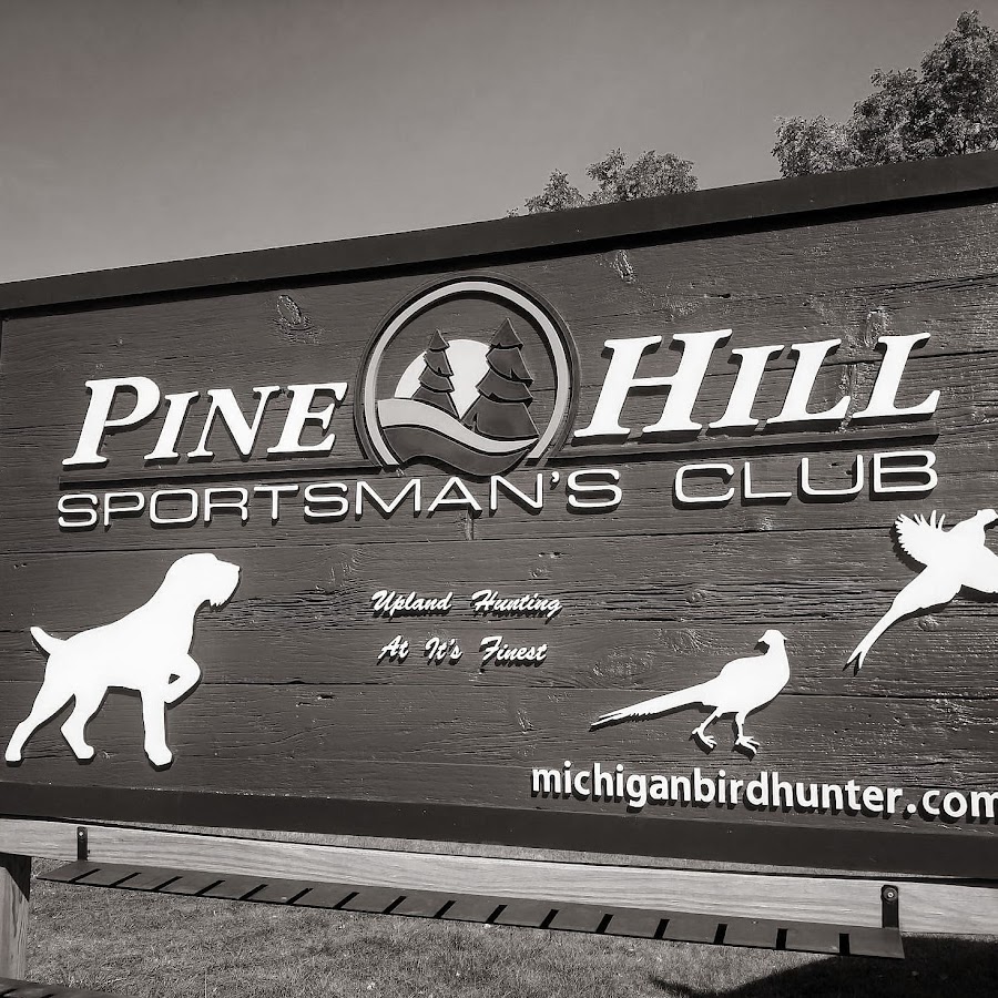 Pine Hill Gun Dog Training