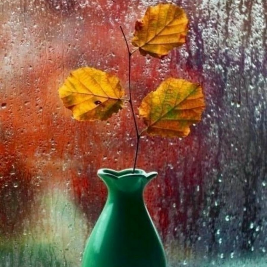 Осень дождь за окном
