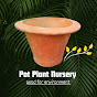 pot plant nursery 